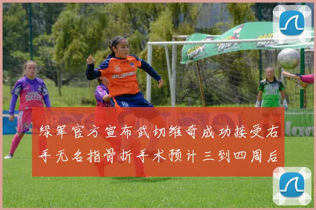 绿军官方宣布武切维奇成功接受右手无名指骨折手术预计三到四周后复查