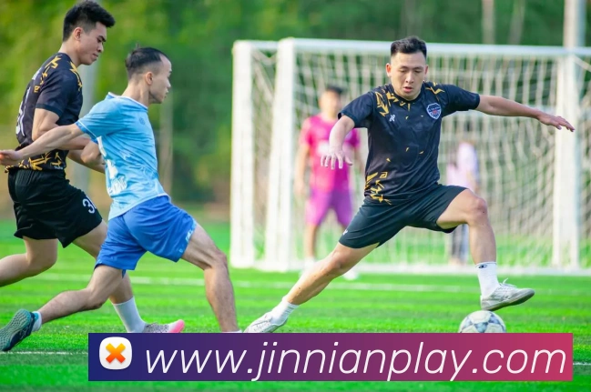 App Interface Preview